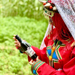 Huile d’Argan Alimentaire 500 ml