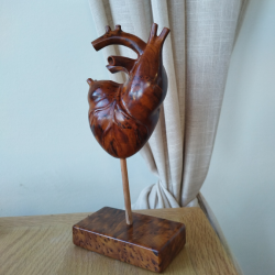 Sculpture anatomique de cœur – cadeaux pour les amoureux; anniversaire