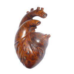 Sculpture anatomique de cœur – cadeaux pour les amoureux; anniversaire