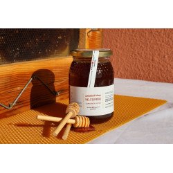 Miel d’Euphorbe 1kg